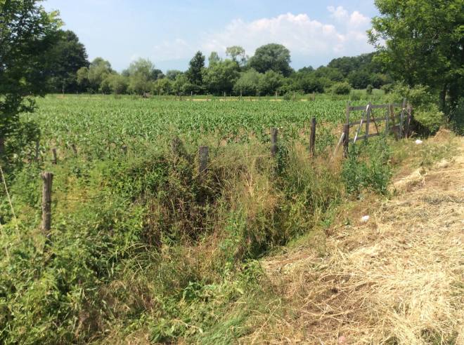 agriculture kosovo 3