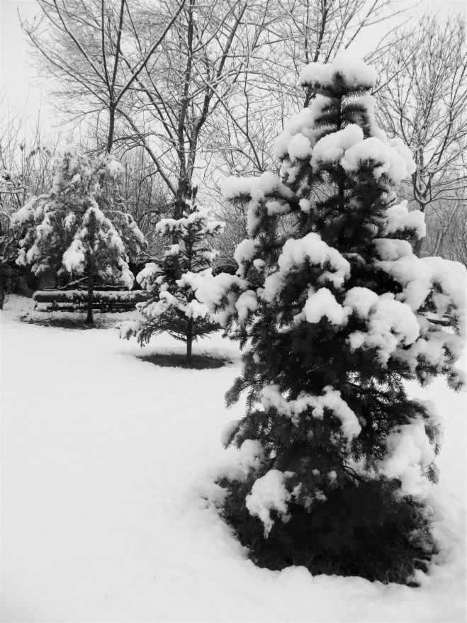 December in Kosovo.JPG